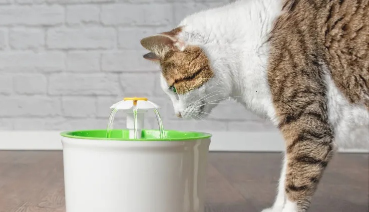 自動飲水器